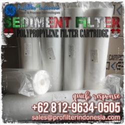 d d aquatrex cartridge filter indonesia  medium